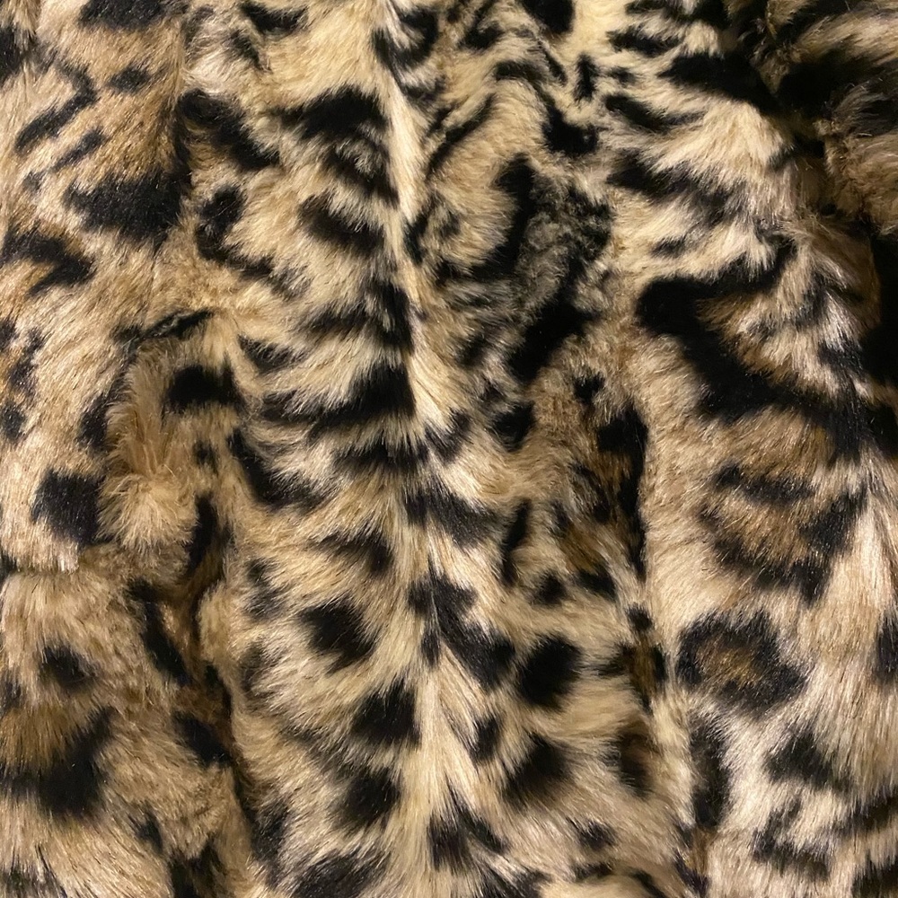 Coat! - Picture 4 of 5